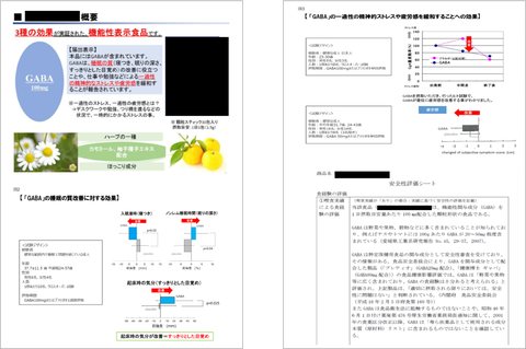 報告書2