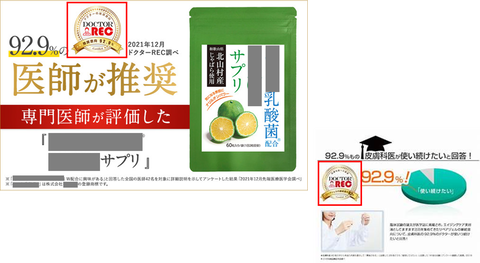 掲載実績③