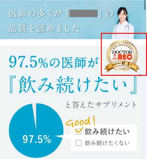 掲載実績②