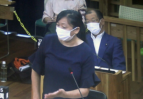 真辺町議