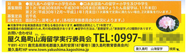 H31年度チラシ②