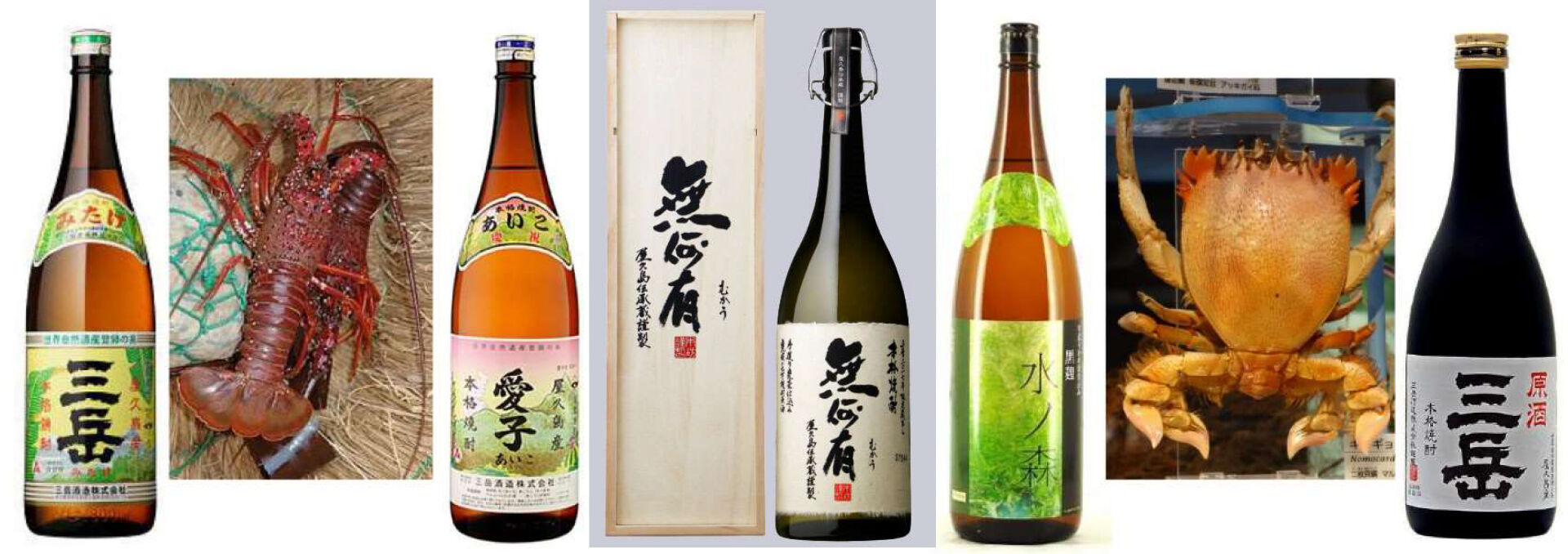 国会議員への贈答t