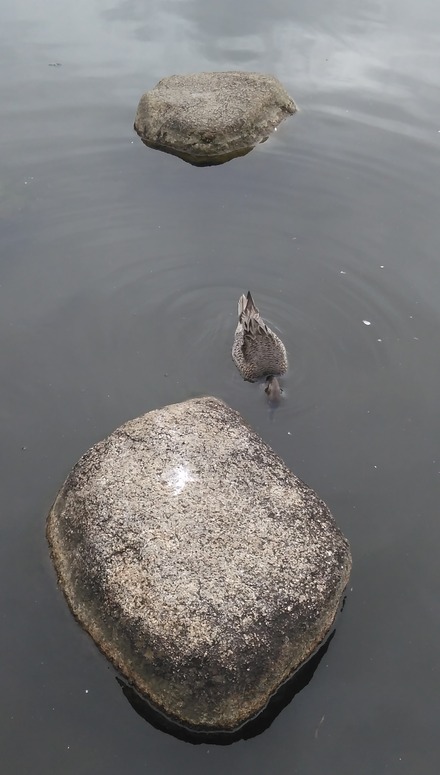 IMAG0163