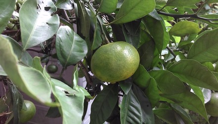 IMAG0277