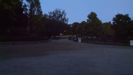 IMAG0229