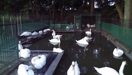 IMAG0241