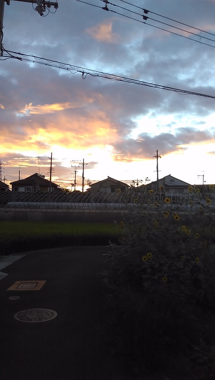 IMAG0074
