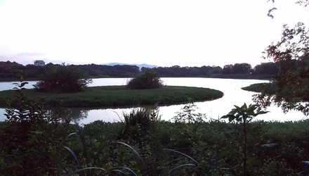 IMAG0237