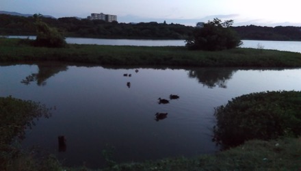 IMAG0235