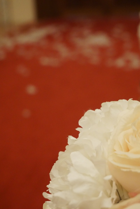 D7DBCB7D-6EB0-407B-A17F-DA8D3820702D