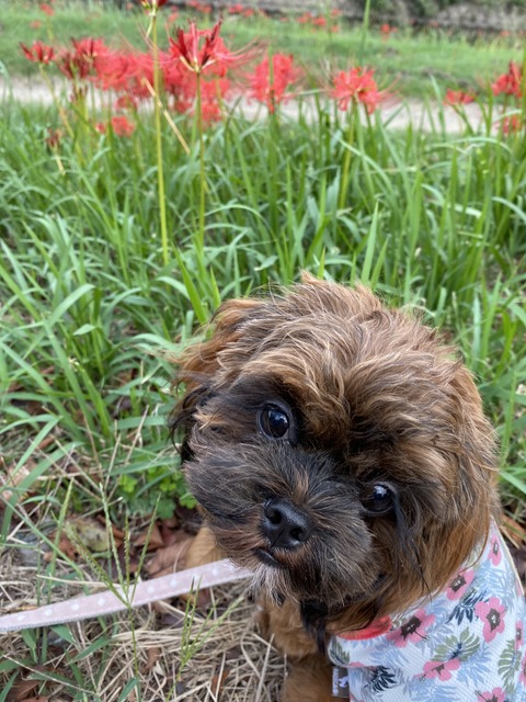 EBD7DDA8-800C-430B-9D00-23D557B59BB0