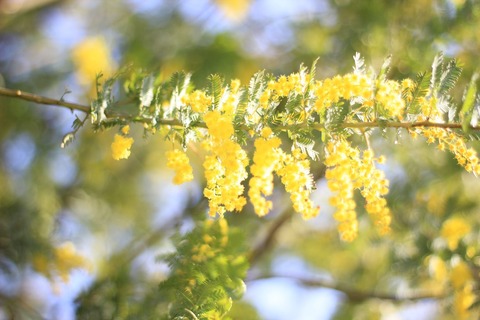 F51D7180-D418-4F95-9DD3-20A75224C7F7