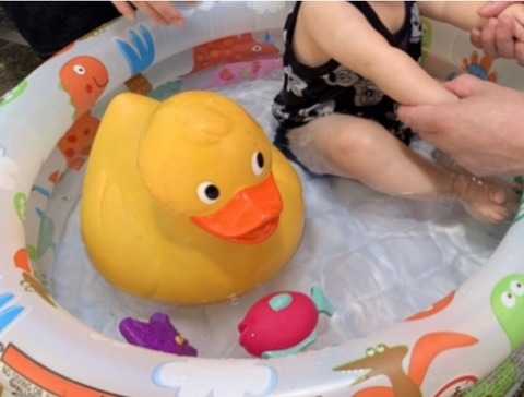 F7F6271E-F993-4861-893F-62E98E1339D6