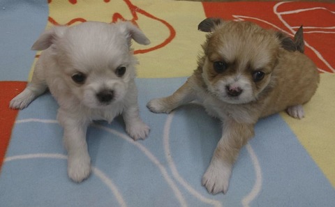 A0B24FC8-24EE-4A19-B380-27665329886D