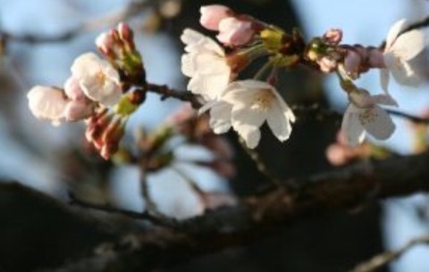 83C2DC33-8B96-4970-9B6C-AE06F841A5AA