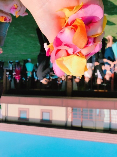 62732865-7175-46F2-B126-596A1F32C33E