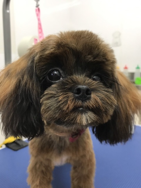 D9169F6B-B6ED-40D4-AEF4-8BECA20F6DF7