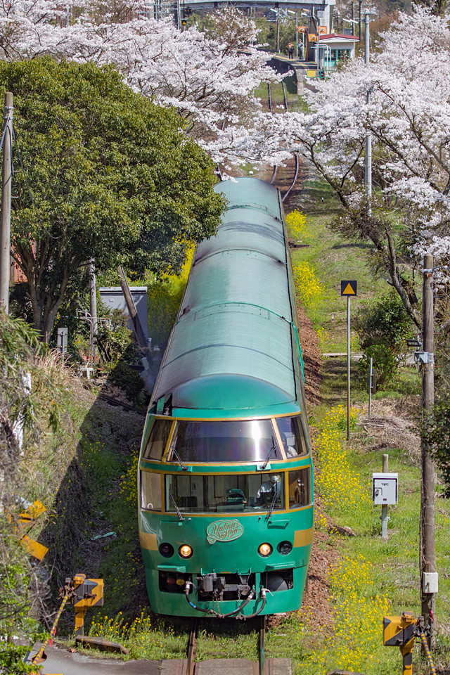 AP9A8928