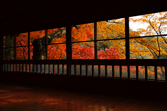 紅葉