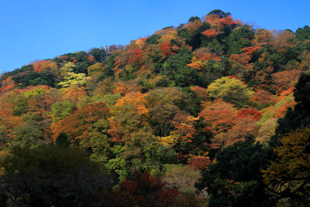 菊池渓谷
