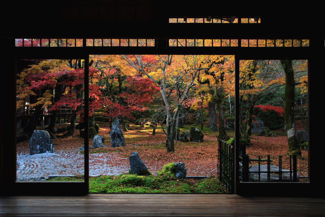 光明禅寺の紅葉 光の情景 Kyushu Photolog 光明禅寺の紅葉 光の情景 Kyushu Photolog