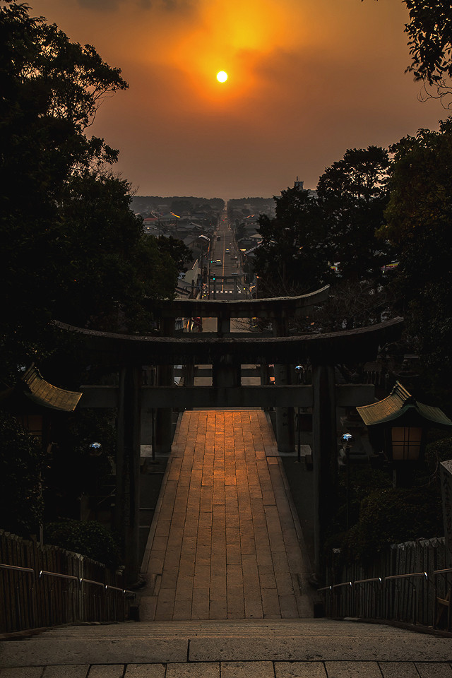 光の道