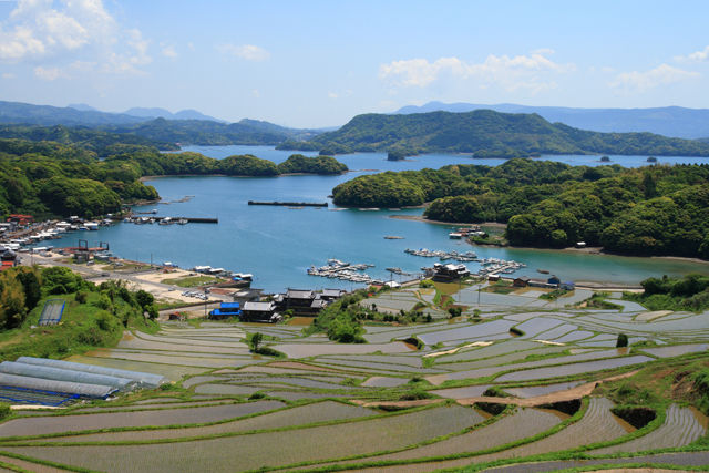 棚田