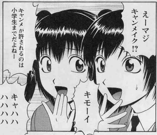 Twitter女子 キャンメイクや百均の化粧品ユーザーを批判して大炎上ｗｗｗ 静かに噂