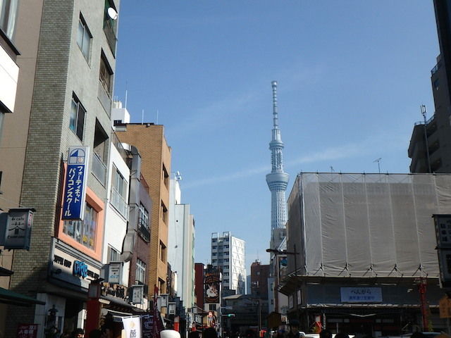 イメージ 14