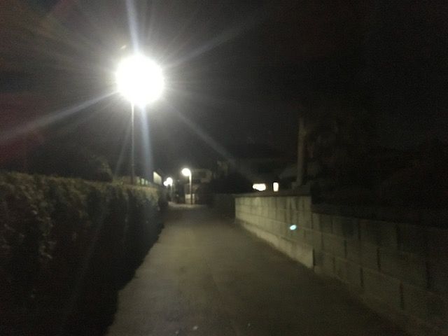 イメージ 14