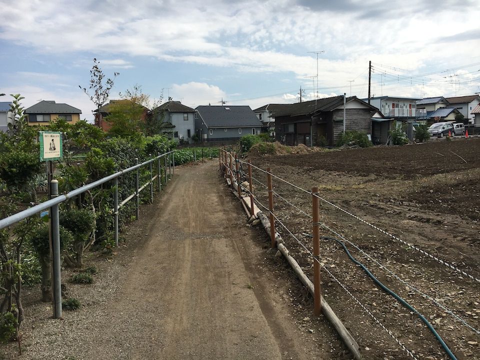 イメージ 22