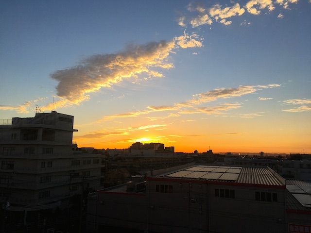 イメージ 12