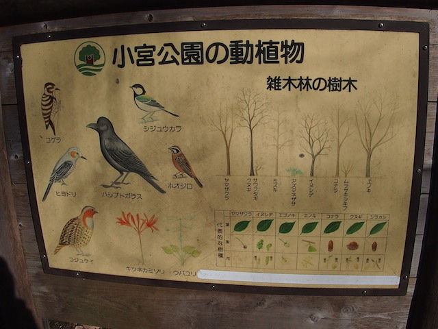 イメージ 14