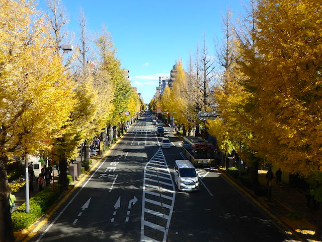 イメージ 26