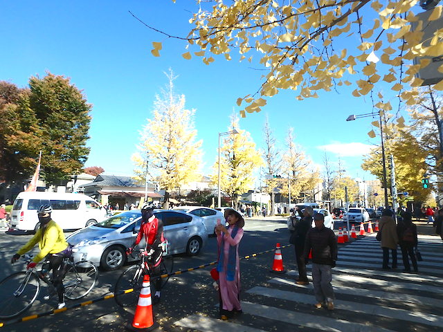 イメージ 10