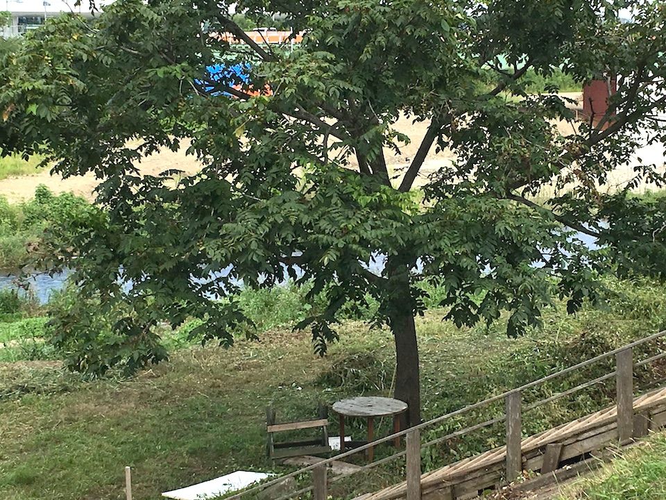イメージ 18