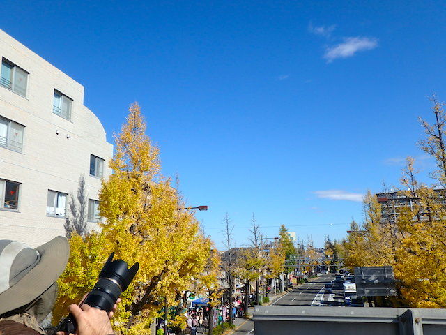 イメージ 21