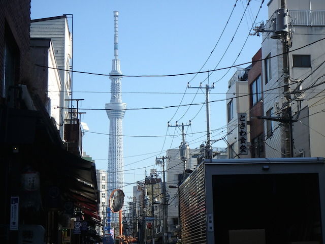 イメージ 9