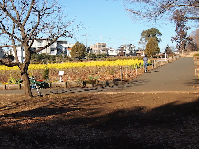 イメージ 8