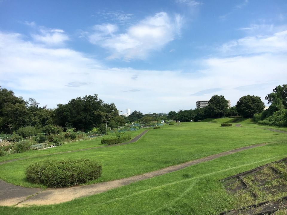 イメージ 12