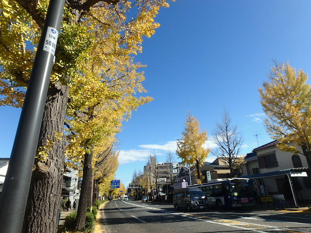 イメージ 2