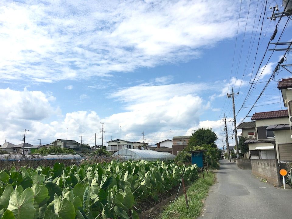 イメージ 1