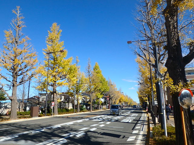 イメージ 15