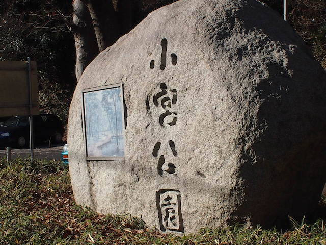 イメージ 5