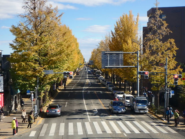 イメージ 4