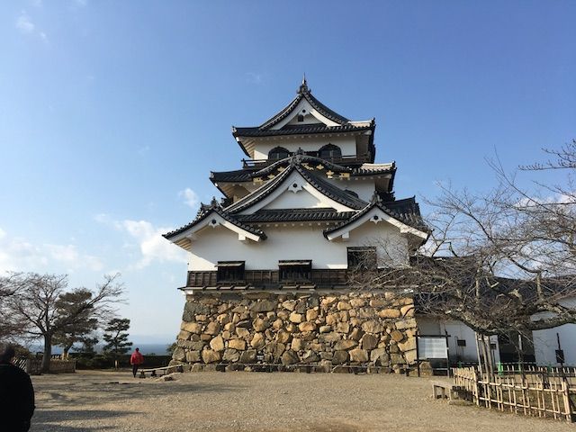 イメージ 17