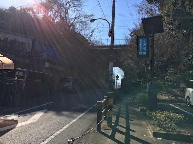 イメージ 17