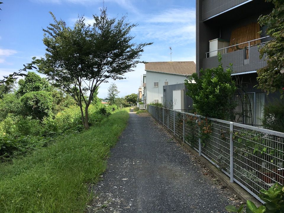イメージ 16
