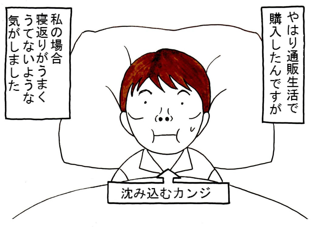 枕ジプシーは続くよ 女おひとりさまのセミリタイア道 枕ジプシーは続くよ 女おひとりさまのセミリタイア道
