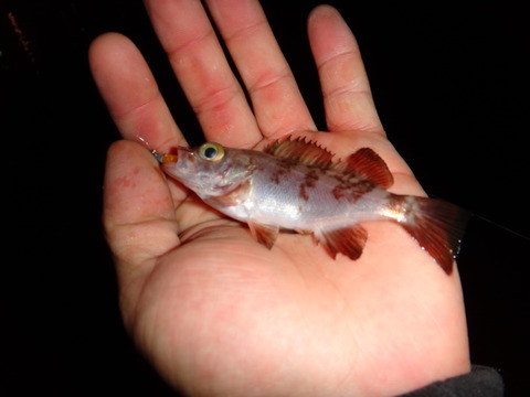 DSC00076